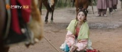 黄杨钿甜