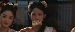 鲁照华