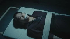 关晓彤