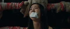 陈都灵