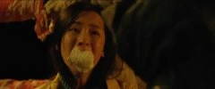 陈都灵