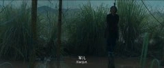 刘敏涛