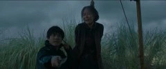刘敏涛*