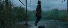 刘敏涛