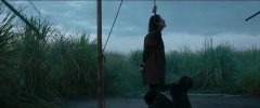 刘敏涛