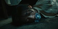 王影璐