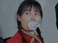 抗日奇侠之武功队