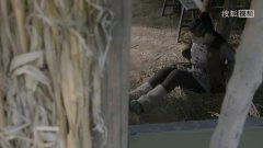 王玲玲