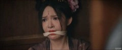 傲蕾