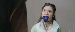 范野子