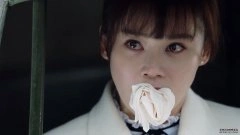 袁姗姗