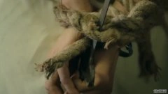 赵子惠
