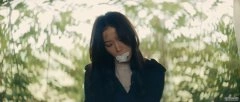 王珞丹