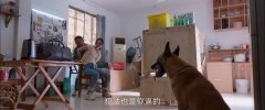 童瑶