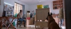童瑶