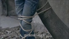 霍蓉