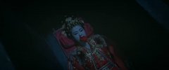 白鹿*