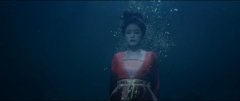 白鹿