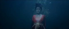 白鹿