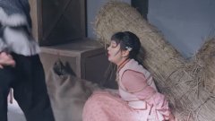 海陆