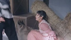 海陆