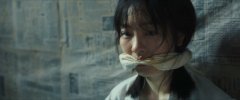 柳佳希