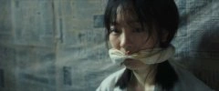 柳佳希