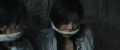 柳佳希,沐岚