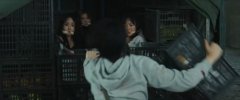 柳佳希等