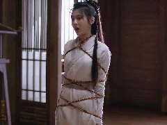 一片冰心在玉壶