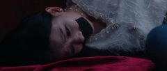 鲁照华