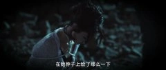 田倚凡（刘洛)*