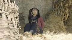 金璐莹